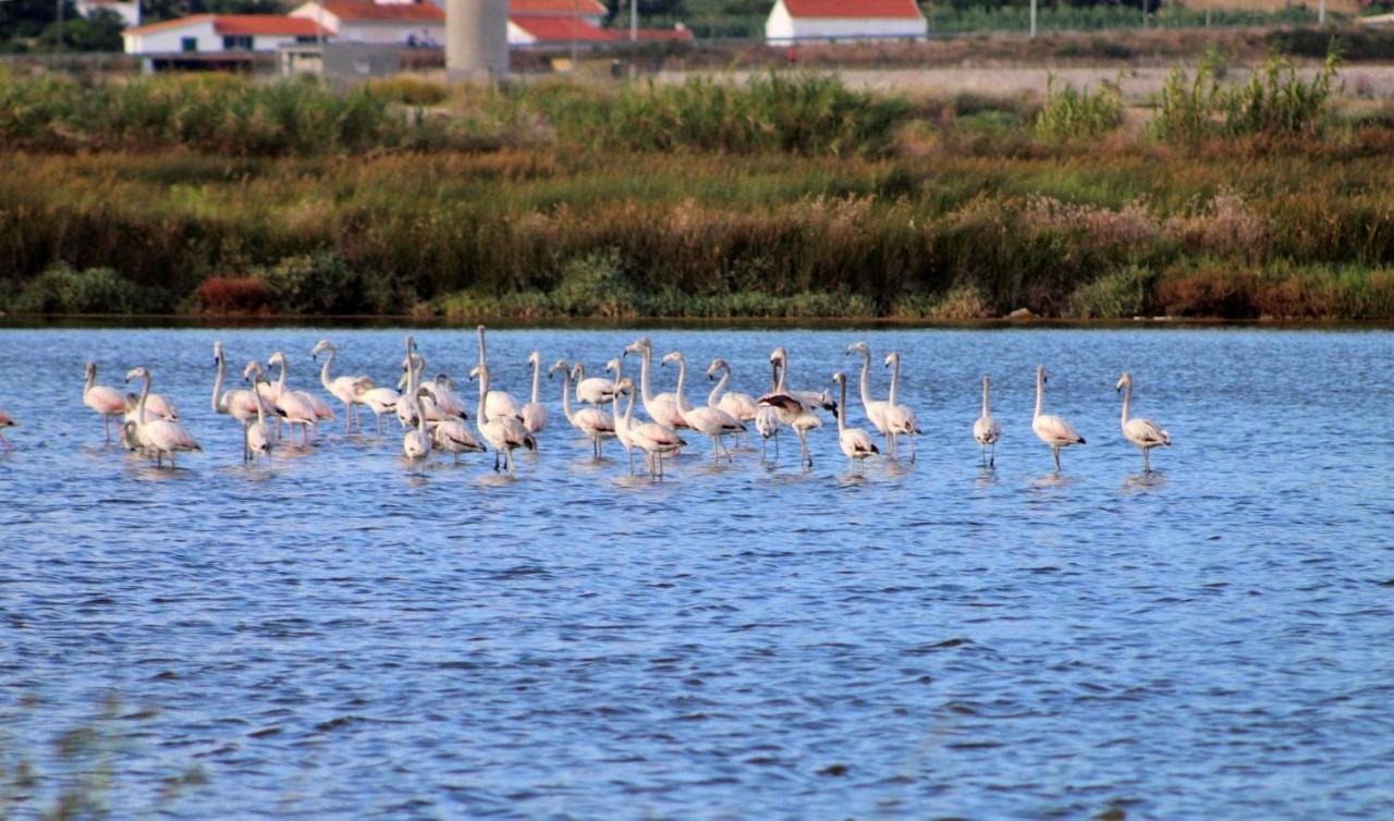 Stella Di Mare - Alojamento Local Figueira da Foz Eksteriør billede